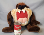 Looney Tunes Tazmanian Devil Plush Ace Novelty Co Stuffed Animal 14in 1995 - $12.82