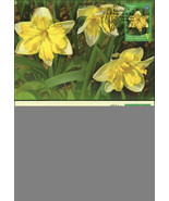 Belarus. 2017. Flowers (Mint) Set of 2 Maxi Cards - £1.75 GBP