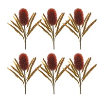 Banksia Stem (Set of 6) 24&quot;H Plastic - £57.47 GBP