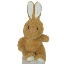 Hug Fun International Easter Bunny Brown Rabbit Plush Stuffed Animal 12&quot; - £12.52 GBP