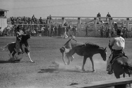 Bucked off a Bronco 20 x 30 Poster - $25.98