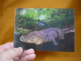 (POST-4) Lenticular 3D Postcard Australia Salty CROCODILE croc tooth mouth - £7.58 GBP