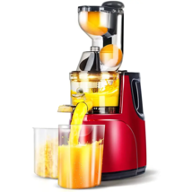 Fruit Juicer Machine, Masticating Juicer, Slow Masticating Juice, Fruit ... - $198.95
