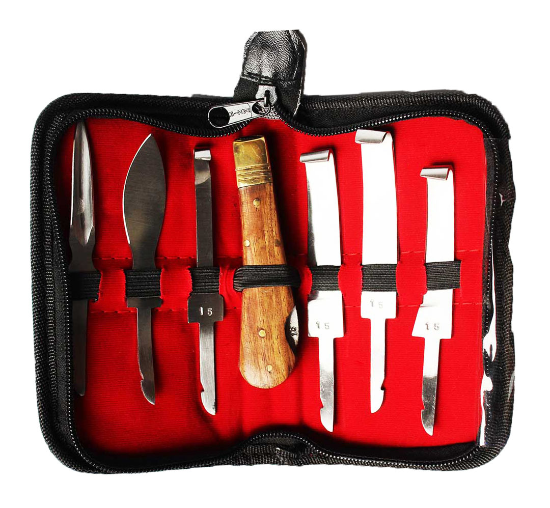 Horse Farrier Tool Changeable 6-Piece Hoof Set w/ Wooden Handle 98495 - $19.79