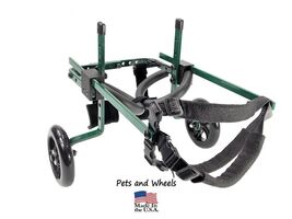 Pets and Wheels Dog Wheelchair - For XS/S Size Dog - Color Green  12-25 Lbs - $2,342.72 MXN