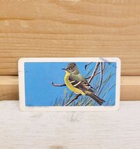 Red Rose Tea Mini Trade Card 2&quot; x 1&quot; Vintage 1966 S9N10 Flycatcher Birds - $17.36 CAD