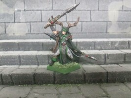 wood elf elves female lord 2 hand weapon painted metal citadel warhammer fantasy - £26.27 GBP