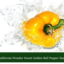 New Fresh Seeds Pepper California Wonder Sweet Golden Bell Pepper 40 Seeds Seed  - $16.56