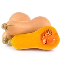Butternut Squash - Seeds - Organic - Non Gmo - Heirloom Seeds – Vegetable Seeds  - £9.07 GBP