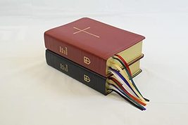 Prayer Book and Hymnal Leather Red [Leather Bound] Church Publishing - £62.53 GBP