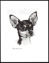 377 TOY FOX TERRIER  dog art print portrait * Pen and ink drawing by Jan... - $12.50