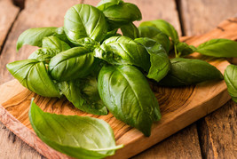 200 Genovese Basil Seeds ~ Heirloomseedguy ~ 2024 ~ Nongmo - $8.35