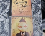 lot of 2 Counting Crows CDs This Desert Life Everything After - $9.90