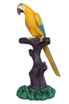 Mutation Macaw Yellow Blue Parrot On Branch Life Size Statue - £481.63 GBP