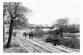 pt6639 - Benny Park Wood , Yorkshire - Print 6x4 - £2.20 GBP
