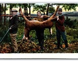 Deer Hunting Scene UNP Unused UDB Postcard U15 - £4.17 GBP