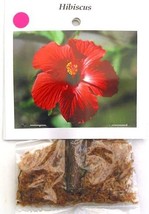 Hawaiian Exotic Flower Plant Roots - Bamboo Orchids - Hibiscus - Ginger -Ti Logs - £19.08 GBP