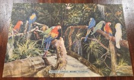 Florida FL Miami Parrot Jungle Postcard Macaws Card View Souvenir - £3.11 GBP