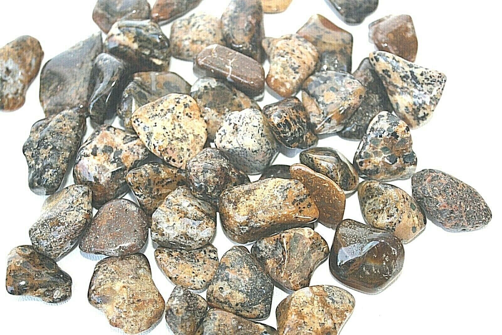 Three Cheetah Agate Brazil Tumbled Stones 20-25mm Reiki Healing Crystals... - $5.04