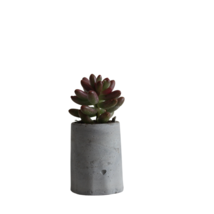 Minimalist Handmade Modern Concrete Tiny Planter With Live Plants | Set of 2 - £13.54 GBP