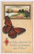 Greeting Postcard Embossed Friendship Butterfly Dreaming Of Thee - £1.69 GBP