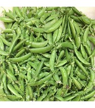Zuccola sugarsnap pea - Snowpea - 20+ seeds - Graines - Samen - H 130 - $102.62 MXN
