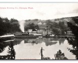OLYMPIA Brewery IN Basso Tumwater Falls Washington Wa Unp DB Cartolina G19 - $25.55