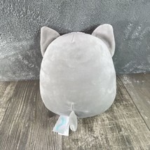 Original Squishmallows 7.5&quot; Casmir The Husky With Hot Cocoa - £7.58 GBP
