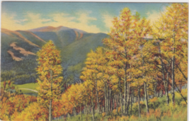 When Autumn Paints The Trees And Hills In Magic Colors Postcard 1939 Gunnison CO - £2.34 GBP