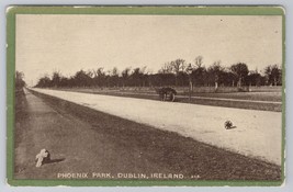 Phoenix Park Dublin Ireland Scenic Horse Drawn Carriage Vintage Postcard - £11.15 GBP