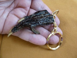 G120-115) 2-1/4&quot; Long Gator Foot Keychain Paw Alligator Taxidermy Med Claw Weird - £11.03 GBP