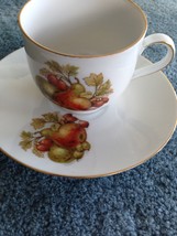 Bareuther Waldsassen Bavaria Germany China cup &amp; saucer  - £28.96 GBP