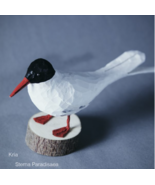 Arctic Tern Hand Carved in Wood - Sterna Paradisaea - Kría - $1,677.21 MXN