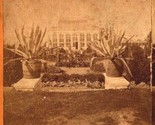 Shaw&#39;s Missouri Botanical Garden Parterre Palm House Boehl &amp; Koenig Ster... - $17.77