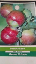 McIntosh Apple Fruit 5 GAL Tree Live Trees Plant Fresh Sweet Juicy Apples - $140.60