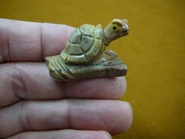 Y-TUR-LA-201) gray little baby Turtle on branch soapstone carving stone FIGURINE - £6.86 GBP