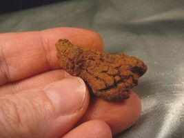 Item image 1 image 1