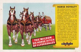 Horse Royalty Wilson &amp; Co Clydesdales Advertising Postcard B13 - $2.99