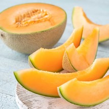 Cantaloupe Seeds - Hales Best Variety  - Organic &amp; Non Gmo Fruit Seeds -... - £1.77 GBP