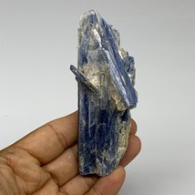 119.9g, 4&quot;x1.6&quot;x1.3&quot;, Rough Raw Blue Kyanite Chunk Mineral @Brazil, B32859 - £18.98 GBP