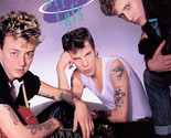The Best of the Stray Cats: Rock This Town by Stray Cats (CD, Nov-1990, ... - $6.40