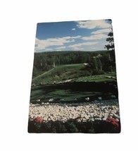 Gaylord Michigan Marsh Resort Par 3 #10 Vintage Post Card - $2.87