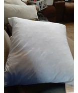 Square Pillow Insert FEATHER / DOWN  Sham Stuffer -20 x 20 feather pillow - $20.20