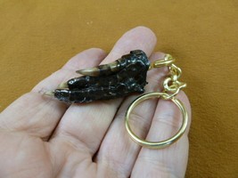 (G120-29) KEYCHAIN GATOR Aligator ALLIGATOR Claw foot key I love gators ... - $9.49