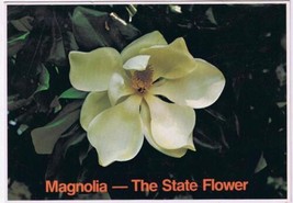 Louisiana Postcard Magnolia State Flower of Louisiana &amp; Mississippi - £2.37 GBP