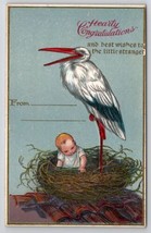 Stork With Baby In Nest Postcard B44 - £6.33 GBP