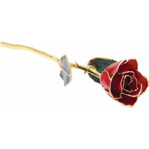 24k Gold Dipped Red Lacquer Real Rose Valentine&#39;s Day Holiday Gift - £78.15 GBP
