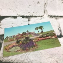 Vintage Postcard Jekyll Island Georgia Beautiful Flowers  - £3.88 GBP
