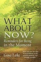 What About Now?: Reminders for Being in the Moment, Gina Lake, Paperback - £4.01 GBP