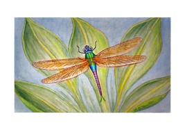 Betsy Drake Dragonfly 30 X 50 Inch Floral Comfort Floor Mat - £71.21 GBP